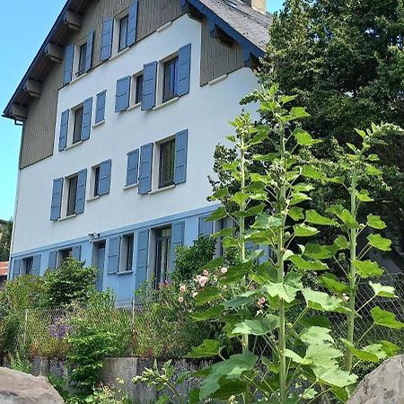 Chalet Du Doumet - Appart Luz Centre - Parking Et Garage Individuel Ferme - Draps Et Serviettes Inclus Luz-Saint-Sauveur Exterior foto